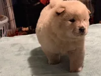 processed/8cbcab13-6a9b-4442-aa34-c806aeb8c416/facility/f88893b3-11c0-4384-a16e-f352afb0a6a7