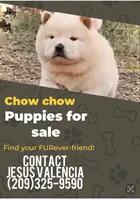 processed/8cbcab13-6a9b-4442-aa34-c806aeb8c416/listing/082ae2a2-8adc-4102-afcc-bd142b4f23ba/8233a876-e6dd-4e8e-9955-95f61507fbb2