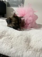 processed/8cc09424-4d33-44a9-bcc6-87f42a3e1fe7/facility/775a8a3a-8a24-49c2-a7b4-abf78d84edea