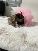 processed/8cc09424-4d33-44a9-bcc6-87f42a3e1fe7/facility/a785ba7d-45a6-418c-b126-eb27dfa0b2bb