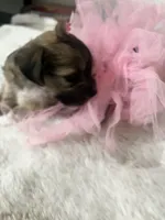 processed/8cc09424-4d33-44a9-bcc6-87f42a3e1fe7/facility/e47cef5a-ba4f-457f-9994-7038616f0cd5