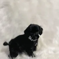 processed/8cc2234d-6cab-483c-b8f5-599e6b83d40b/facility/2b07b385-ce62-43dd-bc68-19f01ffa6747