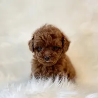 processed/8cc2234d-6cab-483c-b8f5-599e6b83d40b/facility/4a29329d-3208-4c25-a702-75819fae670a