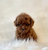 processed/8cc2234d-6cab-483c-b8f5-599e6b83d40b/facility/4a29329d-3208-4c25-a702-75819fae670a