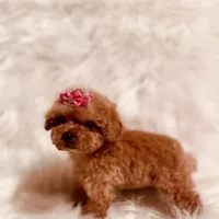 processed/8cc2234d-6cab-483c-b8f5-599e6b83d40b/facility/6d628cf9-35ea-45f7-8f1a-f949d58b6db5