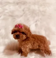 processed/8cc2234d-6cab-483c-b8f5-599e6b83d40b/facility/6d628cf9-35ea-45f7-8f1a-f949d58b6db5