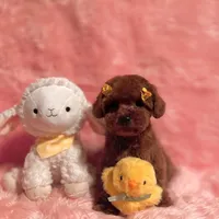 processed/8cc2234d-6cab-483c-b8f5-599e6b83d40b/facility/77b32dcc-cc25-4b58-9b34-8f0ad02017d8