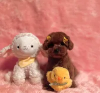 processed/8cc2234d-6cab-483c-b8f5-599e6b83d40b/facility/77b32dcc-cc25-4b58-9b34-8f0ad02017d8