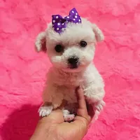 processed/8cc2234d-6cab-483c-b8f5-599e6b83d40b/facility/9ece1180-652a-445c-814b-5cd26aa01f37