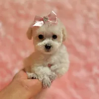 processed/8cc2234d-6cab-483c-b8f5-599e6b83d40b/facility/c1395634-f822-4a04-8352-724de16d6238