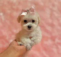 processed/8cc2234d-6cab-483c-b8f5-599e6b83d40b/facility/c1395634-f822-4a04-8352-724de16d6238