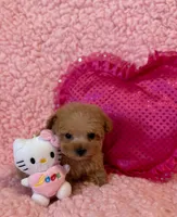 processed/8cc2234d-6cab-483c-b8f5-599e6b83d40b/listing/2e666d15-5619-43b6-9b02-3a2258b11998/21c0bc93-4f01-40a8-8b85-dec4bdd9eece