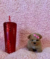 processed/8cc2234d-6cab-483c-b8f5-599e6b83d40b/listing/2e666d15-5619-43b6-9b02-3a2258b11998/28ae2ba3-ca48-4758-b1fe-d1fc48c90bf7