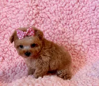 processed/8cc2234d-6cab-483c-b8f5-599e6b83d40b/listing/2e666d15-5619-43b6-9b02-3a2258b11998/727d40e5-bc6e-4004-a7d8-7eadc3ca732d