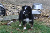 processed/8cc4f756-d8cd-40fb-9168-907939e56543/listing/5b5c3735-c52f-401a-8bc8-2c3c9375bd1e/03629da8-44cc-4037-acf1-3802fa00c7bd