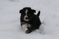 processed/8cc4f756-d8cd-40fb-9168-907939e56543/listing/5b5c3735-c52f-401a-8bc8-2c3c9375bd1e/36e79bb1-0e93-4278-9d40-249892028fd7