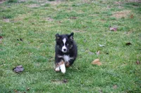 processed/8cc4f756-d8cd-40fb-9168-907939e56543/listing/5b5c3735-c52f-401a-8bc8-2c3c9375bd1e/3c8189fc-0de2-4ff4-b5ae-d1f2e7ee2e74