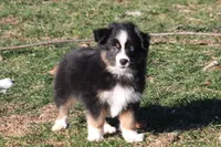 processed/8cc4f756-d8cd-40fb-9168-907939e56543/listing/5b5c3735-c52f-401a-8bc8-2c3c9375bd1e/c2860781-918d-4512-8149-12e9322f66cc