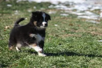 processed/8cc4f756-d8cd-40fb-9168-907939e56543/listing/5b5c3735-c52f-401a-8bc8-2c3c9375bd1e/c84f99a0-5b2f-4457-8238-f2bb25f0a02b