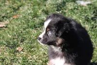 processed/8cc4f756-d8cd-40fb-9168-907939e56543/listing/cd507a52-ce22-4a0b-bf7e-4d8512da920f/1274cb1b-2d94-44a2-ae94-b2217bb0bb61