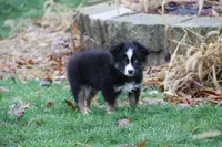 processed/8cc4f756-d8cd-40fb-9168-907939e56543/listing/cd507a52-ce22-4a0b-bf7e-4d8512da920f/278a8c60-fdbc-48d6-9064-7403922905a6