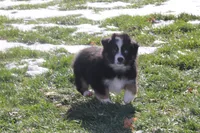 processed/8cc4f756-d8cd-40fb-9168-907939e56543/listing/cd507a52-ce22-4a0b-bf7e-4d8512da920f/55cfa6e1-bf41-4c08-81d4-37173fcdb33f