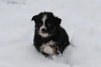 processed/8cc4f756-d8cd-40fb-9168-907939e56543/listing/cd507a52-ce22-4a0b-bf7e-4d8512da920f/7bc8036b-cd69-4277-8339-c48f2dc5e8b4