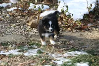 processed/8cc4f756-d8cd-40fb-9168-907939e56543/listing/cd507a52-ce22-4a0b-bf7e-4d8512da920f/809701da-c6d4-4146-a459-1a2df8998edb