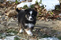 processed/8cc4f756-d8cd-40fb-9168-907939e56543/listing/cd507a52-ce22-4a0b-bf7e-4d8512da920f/8f1b0096-4126-4fd4-9b3c-eb9d7ea46d9f