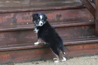 processed/8cc4f756-d8cd-40fb-9168-907939e56543/listing/cd507a52-ce22-4a0b-bf7e-4d8512da920f/ef32eaae-783d-4b47-b07a-ee2350b20ace