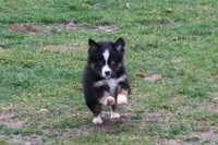 processed/8cc4f756-d8cd-40fb-9168-907939e56543/listing/cd507a52-ce22-4a0b-bf7e-4d8512da920f/f683e59b-18da-4e31-9390-5a50b65df938