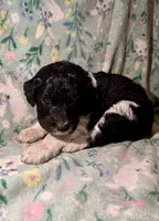 processed/8cc83c1c-5bf6-4d19-a019-53f961045e94/listing/054ed4a6-a7cd-4b17-829f-cd413c44fa5e/0567715e-1b6e-49ec-b69e-ee53c59472d5