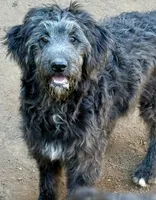 processed/8cc83c1c-5bf6-4d19-a019-53f961045e94/listing/57685843-4d1d-4785-8866-7ac9f440511a/e7e0f025-344c-4607-81d4-4f83996099a2