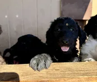 processed/8cc83c1c-5bf6-4d19-a019-53f961045e94/listing/e83024c5-94ec-4f3a-bcb5-9e67f7f4c2d9/9e9aeaf8-0506-4176-bbf2-8a8726ef7e42