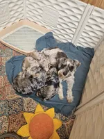 processed/8cc935e2-e056-40d4-970a-864cd35bfda3/facility/38d8741a-0053-4d7a-a92f-7b950a11aab9