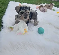 processed/8cc935e2-e056-40d4-970a-864cd35bfda3/facility/742b3685-9614-490c-8ba8-6b8943fc14be