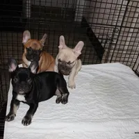 processed/8cc9b2c2-fd7c-4f4a-a43b-20e4d8196c42/facility/4619f19a-a9ea-4608-83a5-e127c711ae4c