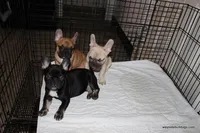 processed/8cc9b2c2-fd7c-4f4a-a43b-20e4d8196c42/facility/4619f19a-a9ea-4608-83a5-e127c711ae4c