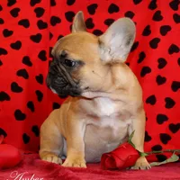 processed/8cc9b2c2-fd7c-4f4a-a43b-20e4d8196c42/facility/86411bb8-3d90-410f-af6d-fcb24d62c401