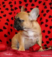 processed/8cc9b2c2-fd7c-4f4a-a43b-20e4d8196c42/facility/86411bb8-3d90-410f-af6d-fcb24d62c401