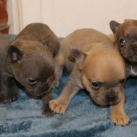 processed/8cc9b2c2-fd7c-4f4a-a43b-20e4d8196c42/facility/90b6cb71-1ab3-4bbb-8ad4-0dd7c6aebad7