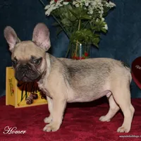 processed/8cc9b2c2-fd7c-4f4a-a43b-20e4d8196c42/facility/983552a9-93a0-4c45-9e98-5cacd76c3eac