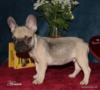 processed/8cc9b2c2-fd7c-4f4a-a43b-20e4d8196c42/facility/983552a9-93a0-4c45-9e98-5cacd76c3eac