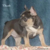 processed/8cc9b2c2-fd7c-4f4a-a43b-20e4d8196c42/facility/a2f1a975-1e6d-4185-9d55-243fe5fe6b71