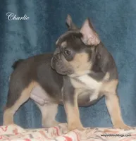 processed/8cc9b2c2-fd7c-4f4a-a43b-20e4d8196c42/facility/a2f1a975-1e6d-4185-9d55-243fe5fe6b71