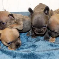 processed/8cc9b2c2-fd7c-4f4a-a43b-20e4d8196c42/facility/c198b938-048a-424e-b457-48800d74a496