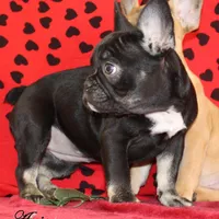 processed/8cc9b2c2-fd7c-4f4a-a43b-20e4d8196c42/facility/c9f85181-d01d-4f3f-b44b-10f08b2657c0