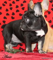 processed/8cc9b2c2-fd7c-4f4a-a43b-20e4d8196c42/facility/c9f85181-d01d-4f3f-b44b-10f08b2657c0