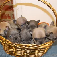 processed/8cc9b2c2-fd7c-4f4a-a43b-20e4d8196c42/facility/da7acbb2-c5fd-41bb-bb1a-d0360531fe2a