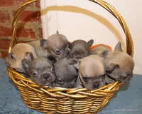 processed/8cc9b2c2-fd7c-4f4a-a43b-20e4d8196c42/facility/da7acbb2-c5fd-41bb-bb1a-d0360531fe2a